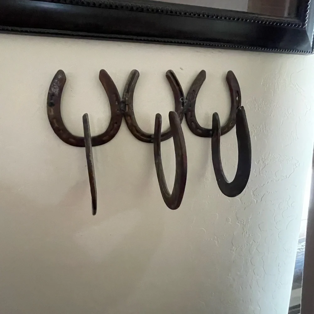 Rustic Horseshoe Wall Hook